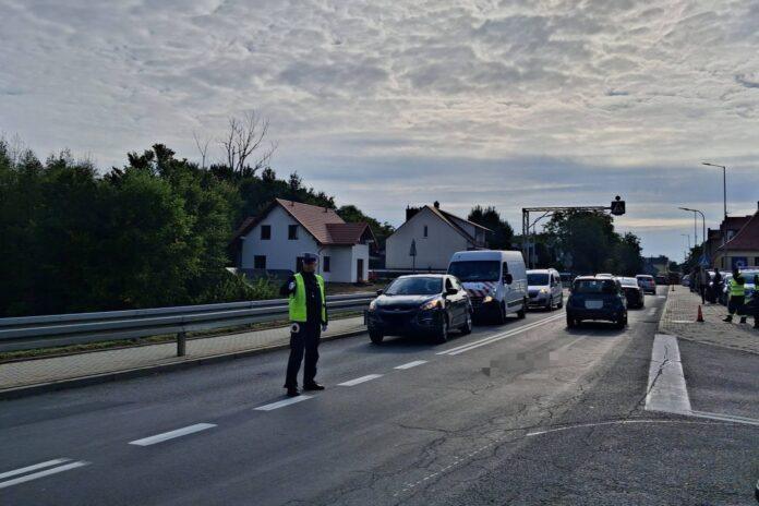 dożynki prezydenckie w Tryńczy